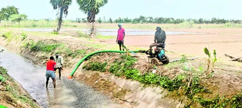 ఎండుత
