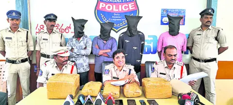 గంజాయి తరలిస్తున్న నలుగురు అరెస్టు