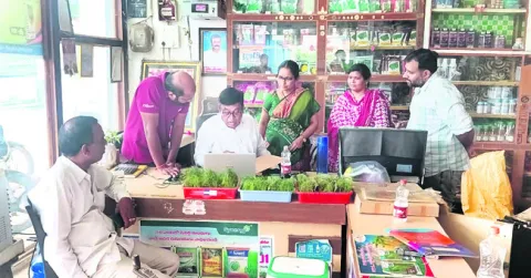 ఆయిల్
