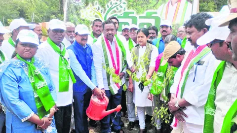 కుల బ