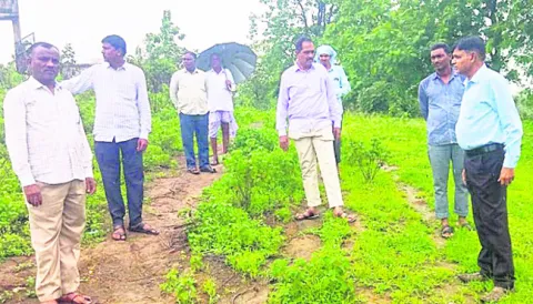 మహిళల ఆర్థికాభివృద్ధి లక్ష్యం
