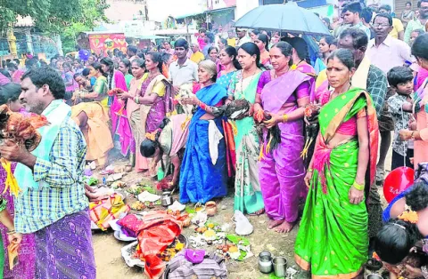 ●రేగా