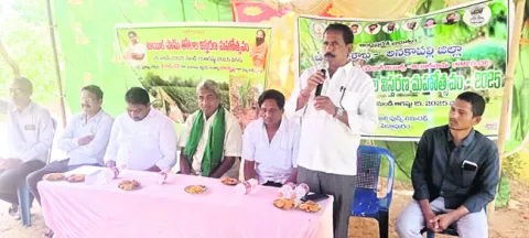 నీటి వసతి ఉంటే అయిల్‌పామ్‌ సాగు మేలు 
