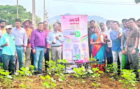 నానో యూరియాతో అధిక దిగుబడి