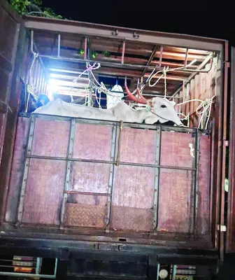 యువతి అనుమానాస్పద మృతి 