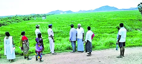 మత్స్