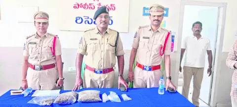 గంజాయి విక్రేతల అరెస్ట్‌