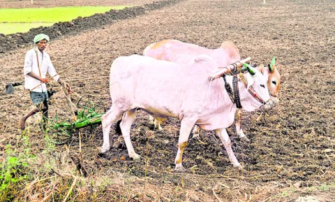 ‘కూటమి’ దెబ్బకు రైతు కుదేలు