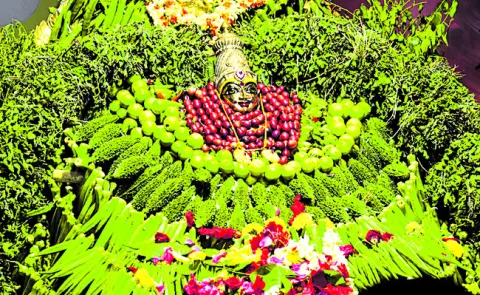 శరణు శాకంబరి