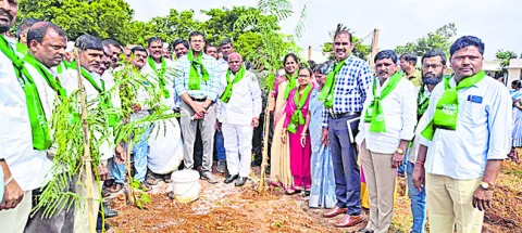 నాటిన ప్రతి మొక్కా బతకాలి