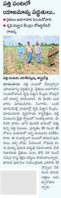 నేడు 