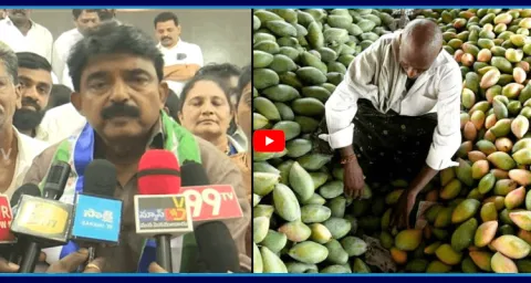 Perni Nani Slams Chandrababu And TDP Leaders Over AP Farmers Situations 1