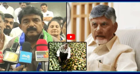 Perni Nani Slams Chandrababu And TDP Leaders Over AP Farmers Situations 2