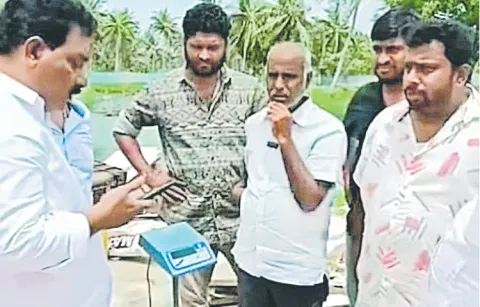 Shrimp buyers are cheating in weighing
