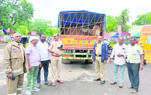 రోడ్లపైకి పశువులను వదలొద్దు