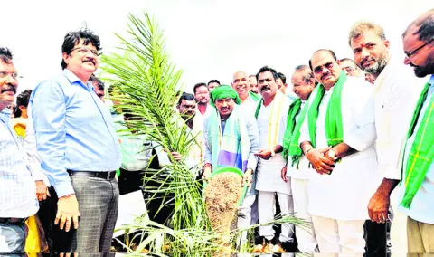 మూడేళ్లు కష్టపడితే 30 ఏళ్లు ఆదాయం