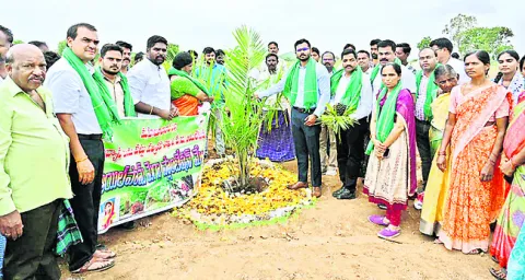 ఆయిల్‌పామ్‌ సాగుతో అధిక లాభాలు