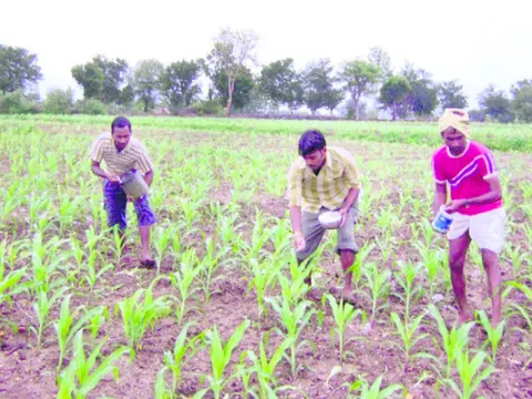 యూరియ