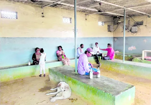 మత్తె