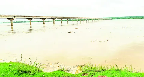 పెరుగ