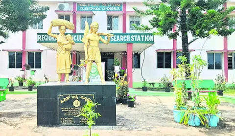 గిరి 