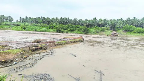 గోదార