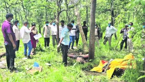 ఎలుగుబంటి దాడిలో తోకల మల్లయ్య మృతి