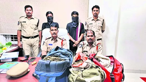 ఇద్దరు గంజాయి నిందితుల అరెస్ట్‌ 