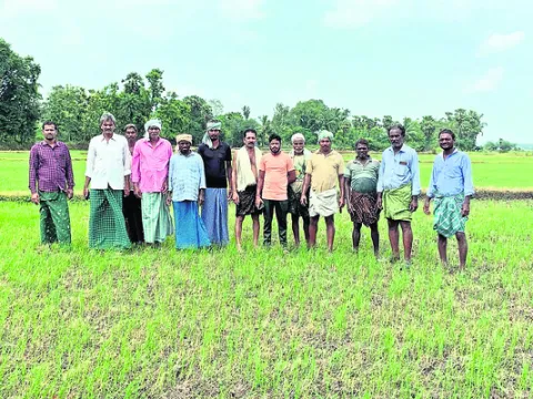 ● 600 ఎకరాల వరి.. నీరు లేక తడారి 
