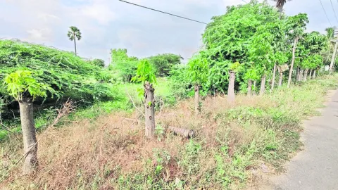 లెక్క