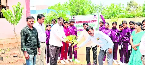 మొక్కలు నాటి సంరక్షించాలి