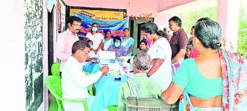 సీజనల
