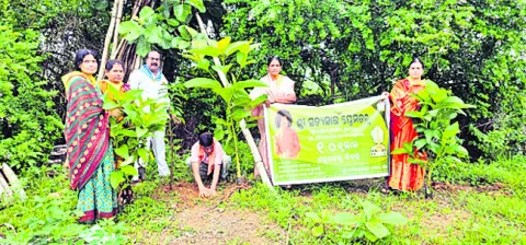 మొక్కలతోనే పర్యావరణ పరిరక్షణ