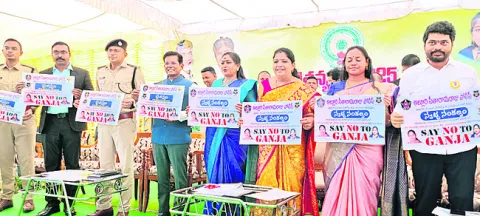 గంజాయ