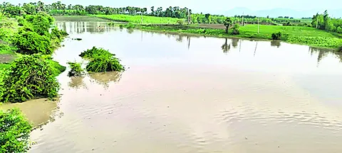 గోదావ