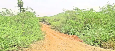 పచ్చముఠా దోపిడీ 
