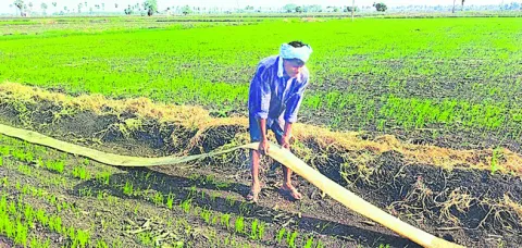 రైతన్
