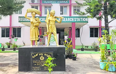 Agricultural Polytechnic College in Tirupati closed