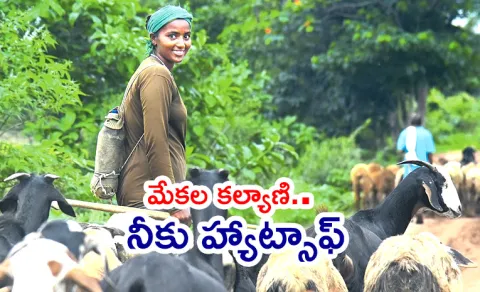 daughter help to father
