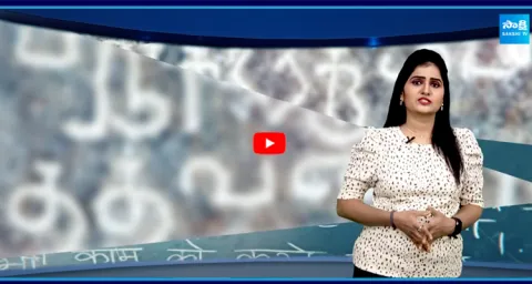  South States And Maharashtra Protest Language Policy 1
