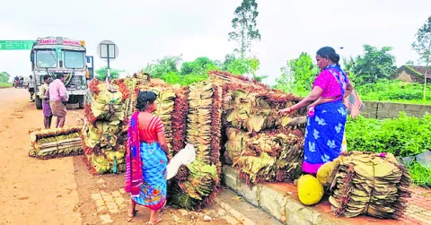 దక్కే