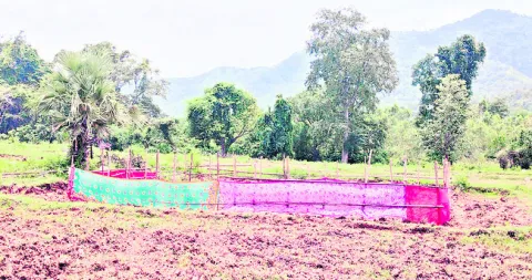 ●ఖర్చు పెట్టుకోలేక.. 