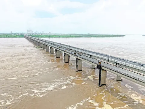 నెమ్మ