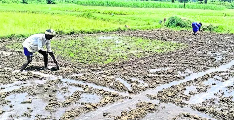 కష్టా