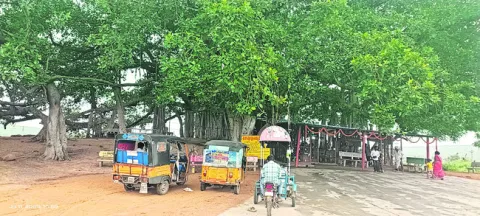 చెరువ