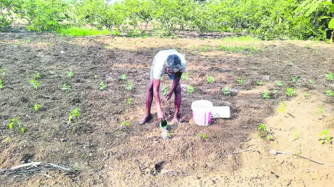 ●  ‘తడుపు’.. మోపెడు !