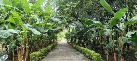 హరిత 
