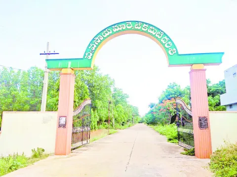 షాక్‌