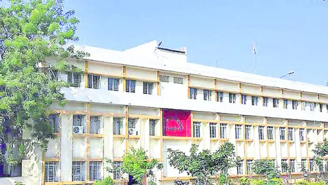 గెస్ట