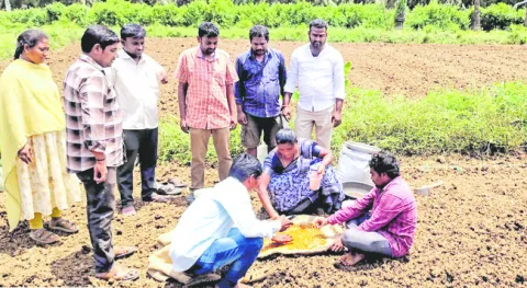 వైవిధ